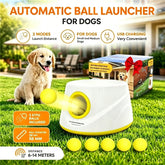 Next-Gen Automatic Dog Ball Launcher,