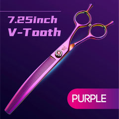Fenice Professional Scissors