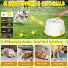 Next-Gen Automatic Dog Ball Launcher,
