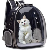 Portable Cat Pet Carrier